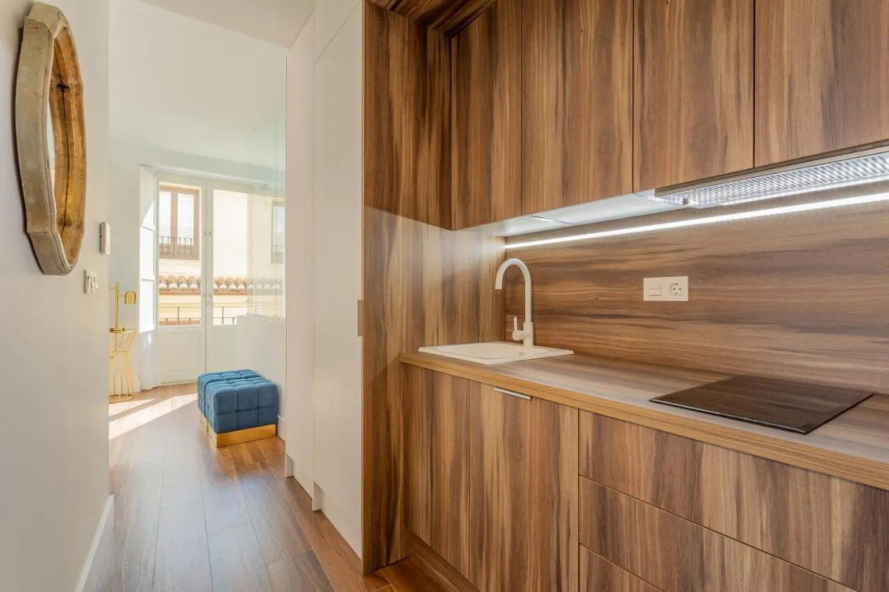 גרנדה Bib Rambla Luxury Apartments